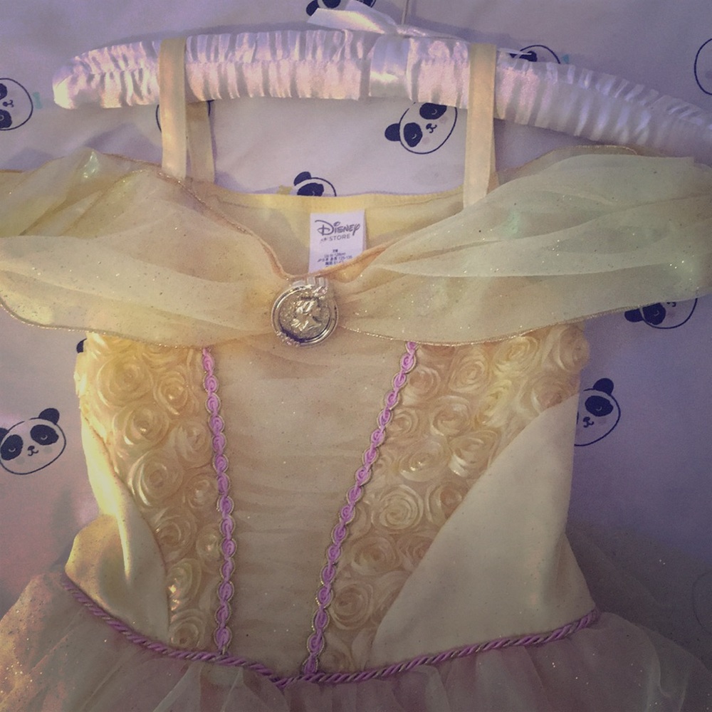 Girl’s Princess dress